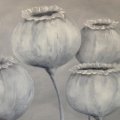 Blume_5 | Comments: 1