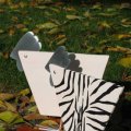 Zebra-und-Weisses-Huhn3 | Comments: 2