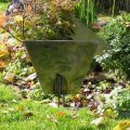 kleineres-Stahlhuhn-am-Teic | Comments: 1